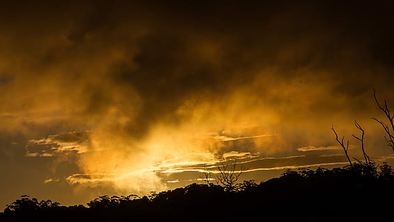 solnedgang, skyer, orange, himmel, grå, dramatisk, storm, Australien, horisont, træer, natur, sky - himmel, cloudscape, mørk, skumring, vejr, dramatisk himmel, udendørs, orange farve, scenics, skønhed i naturen, landskab, farvebillede, nat, brænding, silhuet, flamme, skovbrand, ingen mennesker, træ, miljø, tordenvejr, brand - naturligt fænomen, ulykker og katastrofer, ild, plante, advarselsskilt, magt i naturen, ildevarslende, forurening, 2K, CC0, offentligt domæne, royaltyfrie