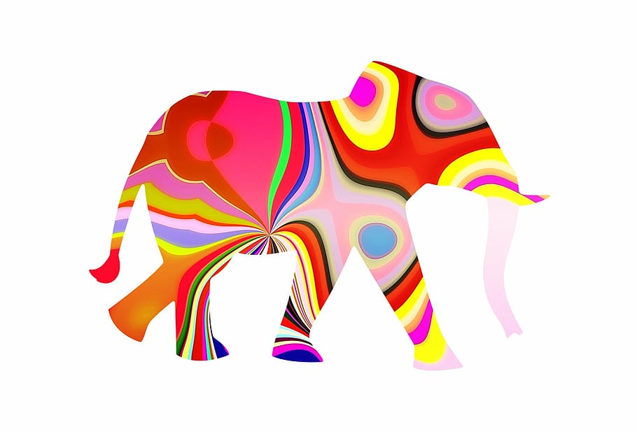il·lustracions d’elefants, blanc, fons, elefant, elefant amb patró, patró elefant, alegre, feliç elefant, colorit, elefant de colors, fantasia, fons blanc, tallar, multicolor, tir de l'estudi, cap gent, a l'interior, ratlles, art i artesania, natura morta, plàstic, groc, color vibrant, cultura i entreteniment artístic, còpia espai, disseny, moda, patró, animal, color rosa, 1080P