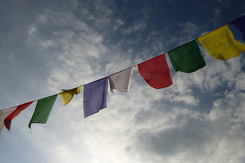 Zigolo dai colori assortiti, Basso, foto ad angolo, multicolore, zigoli, angolo basso, foto, verde, rosso, bandiera gialla, giorno, bandiera, cielo, emblema, vento, girandola, blu, all'aperto, celebrazione, nuvola - cielo, sospeso, patriottismo, Inquadratura dal basso, di fila, natura, nessuno, ambiente, variazione, scelta, forma, orgoglio, agitando, 1080P, CC0, dominio pubblico, privo di copyright
