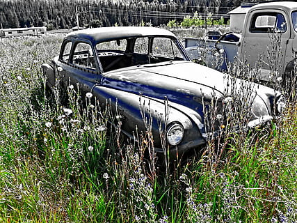 ruginit, cronometru vechi, mașină veche, olds mobile, auto, vehicul, mașină, transport, epocă, hdr, înalt, iarbă, luncă, tehnologie, metal ruginit, mașini de epocă, mașină clasică, antic, metal, zile trecute, vehicul cu motor, clasic, mijloc de transport, abandonat, deteriorat, învechit, plantă, vehiculul terestru, camp, zi, vechi, dărâma, deteriorare, declin, nici o persoana, natură, în aer liber, ruinat, demolat, 4K, CC0, domeniu public, fără drepturi de autor