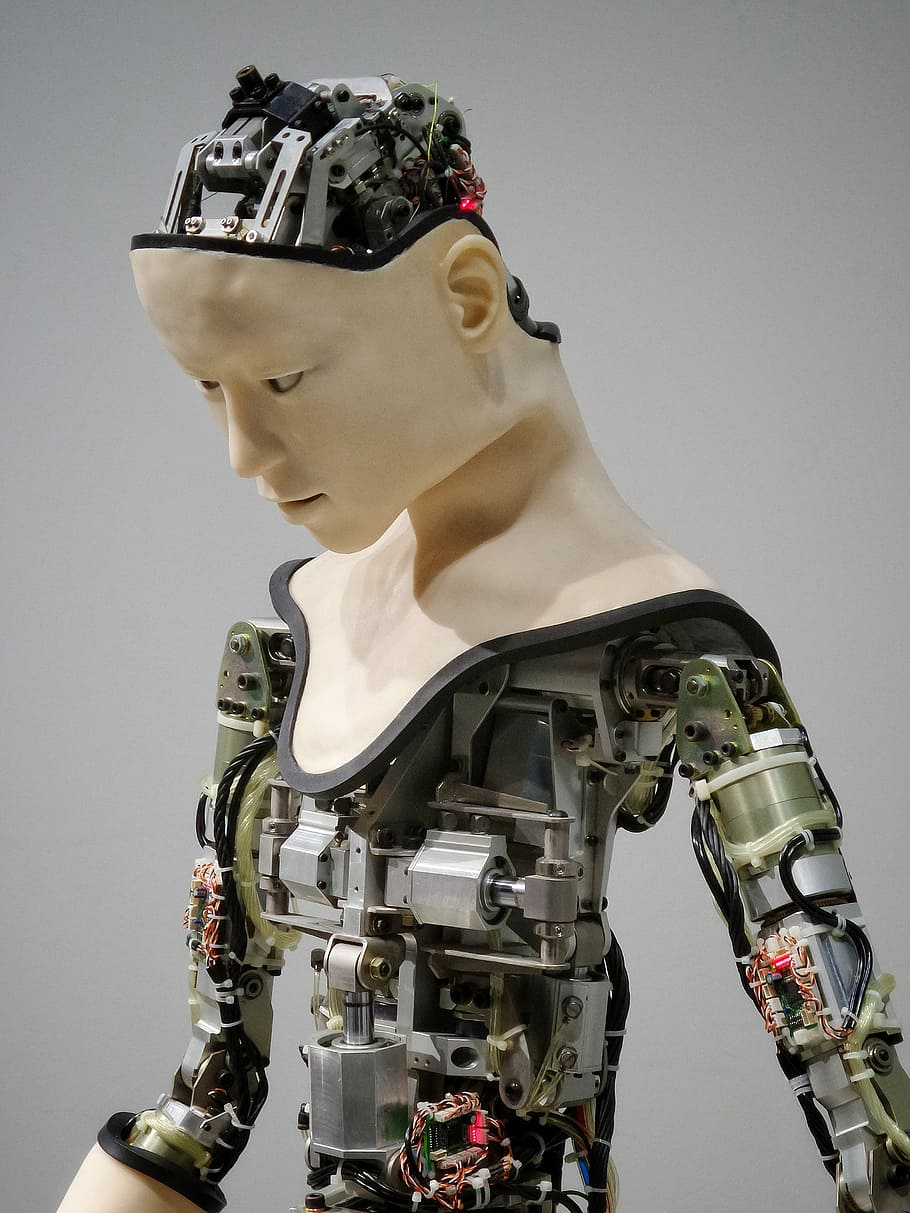bianca, Marrone, umano, illustrazione del robot, selettivo, fotografia a fuoco, grigio, beige, robot, indossatrice, modello, macchina, ritratto, girato in studio, in casa, una persona, rappresentazione, tecnologia, rappresentazione umana, creatività, arte e artigianato, avvicinamento, dalla vita in su, futuristico, macchinario, capi di abbigliamento, scultura, copricapo, 4K