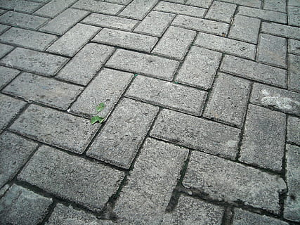 bloc de pavimentació, ciment, Caixa, quadrat, carretera, patró, marc complet, vista d’angle alt, cap gent, dia, fons, sendera, textura, pedra, llambordes, carrer, naturalesa, gris, a l'aire lliure, ciutat, transport, disseny, llum solar, vorera, concret, 2K, CC0, domini públic, lliure de regalies
