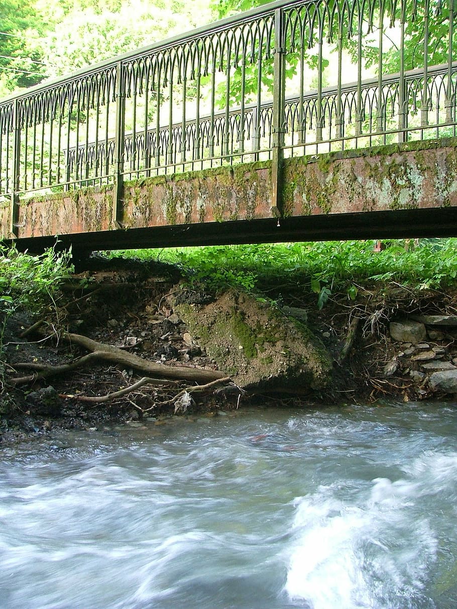 corrent, pont, límit, bosc, aigua, naturalesa, criatura, humitat, faig hg, garadna-stream, riu, pont - estructura feta per l'home, arbre, a l'aire lliure, dia, cap gent, planta, aigua que flueix, davant del mar, arquitectura, barana, estructura construïda, moviment, connexió, terra, metall, que flueix, 1080P
