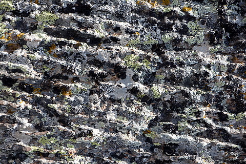 Kennedy, Stein, Textur, Zusammensetzung, Makro, Natur, die steine ​​sind, Detail, Hintergrund, alt, Umwelt, Stein Textur, das Interessante, wunderschönen, auf, Reise, Fotografie, großartig, unglaublich, interessante Texturen, Flechte, Flechtenfelsen, Farbe, Farbtextur, getragen, Ästhetik, sarmiento, Granit, Hardrock, Moos, moosig, beeindruckend, natürlich, Natursteine, natürliche Schönheit, Vollbild, Hintergründe, Rock, Rock - Objekt, keine Leute, solide, Pflanze, Tag, Wachstum, texturiert, Schönheit in der Natur, Nahansicht, Muster, draußen, Rau, Ruhe, Felsformation, Geologie, erodiert, Formation, 5K, CC0, gemeinfrei, lizenzfrei