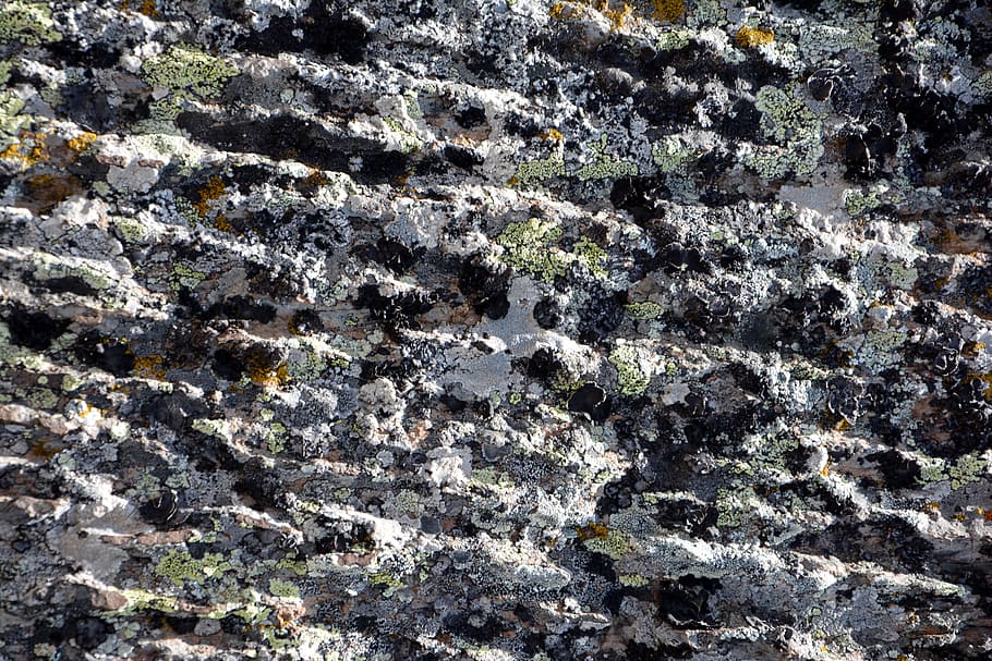 Kennedy, Stein, Textur, Zusammensetzung, Makro, Natur, die steine ​​sind, Detail, Hintergrund, alt, Umwelt, Stein Textur, das Interessante, wunderschönen, auf, Reise, Fotografie, großartig, unglaublich, interessante Texturen, Flechte, Flechtenfelsen, Farbe, Farbtextur, getragen, Ästhetik, sarmiento, Granit, Hardrock, Moos, moosig, beeindruckend, natürlich, Natursteine, natürliche Schönheit, Vollbild, Hintergründe, Rock, Rock - Objekt, keine Leute, solide, Pflanze, Tag, Wachstum, texturiert, Schönheit in der Natur, Nahansicht, Muster, draußen, Rau, Ruhe, Felsformation, Geologie, erodiert, Formation, 5K