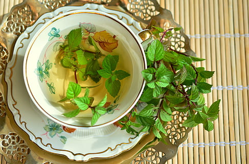Grün, Blatt Pflanze, Schüssel, Flüssigkeit, Innerhalb, Pfefferminze, Pfefferminztee, Minze, Blätter, Heilkräuter, Teekräuter, Kräuterpflanze, Küchenkraut, gesund, Heilpflanze, Getränk, grüne Minze, Gesundheit, Heilung, Natur, Kräuter, Aroma, Geschmack, Tasse, Geschirr, Abdeckung, Goldrand, Essen und Trinken, Lebensmittel, Blatt, Wohlbefinden, Tee, Pflanzenteil, Kraut, grüne Farbe, gesundes Essen, Frische, Pflanze, Tee - heißes Getränk, drinnen, heisses Getränk, Nahansicht, Teetasse, keine Leute, Kräutertee, Erfrischung, Minzblatt - kulinarisch, Blumenmuster, 5K, CC0, gemeinfrei, lizenzfrei
