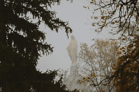 Jungfrau, Mary Statue, Seite, Baum, tagsüber, enorm, religiös, Statue Flachwinkelfotografie, Bäume, Monument, Statue, Wolke, Nebel, Pflanze, Ast, Natur, keine Leute, ein Tier, Wirbeltier, Vogel, weiße Farbe, Tierwelt, Tier, Tag, Flachwinkelansicht, Tierthemen, Tiere in freier Wildbahn, Himmel, Wachstum, draußen, Schönheit in der Natur, hocken, 5K, CC0, gemeinfrei, lizenzfrei