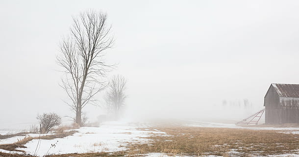 fienile, cabina, freddo, campo, nebbioso, piante, la neve, alberi, inverno, natura, albero, freddo - temperatura, brina, foresta, paesaggio, scena rurale, stagione, ghiaccio, all'aperto, temperatura fredda, architettura, pianta, albero nudo, città, nebbia, nessuno, scenics - natura, struttura costruita, mezzi di trasporto, cielo, bellezza nella natura, esterno dell'edificio, Colore bianco, ambiente, nevicando, bufera di neve, 1080P, CC0, dominio pubblico, privo di copyright