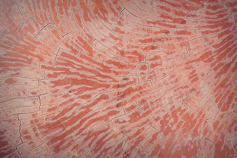 taronja, blanc, tèxtil, resum, antiguitat, teló de fons, fons, pissarra, marró, edifici, fusteria, primer pla, color, fosc, decoració, decoratiu, disseny, sec, pis, gra, grunge, fusta dura, casa, interior, fusta, macro, material, natural, naturalesa, roure, vell, textura, patró, fons de pantalla, antic, cap gent, arquitectura, paper, marc complet, vermell, funció de construcció de parets, patró natural, a l'interior, dia, estructura construïda, color taronja, art i artesania, vista d’angle alt, netejar, 4K, CC0, domini públic, lliure de regalies