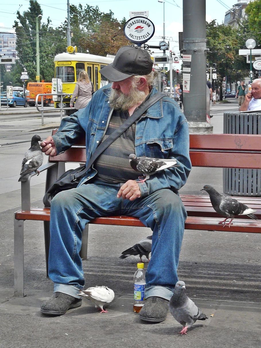 se senti, marró, fusta, banc, alimentació, ocells, captaires, penner, home, humà, persona, seure, s’ha perdut l’enviament, Benk, coloms, joc, viena, Suècia plaça, parada, brut, gent, homes, carrer, escena urbana, assegut, a l'aire lliure, vida de ciutat, longitud completa, adult gran, només homes, ciutat, adult, persones reals, una persona, estils de vida, dia, activitat d'oci, vista frontal, barret, transport, roba casual, carretera, persones incidentals, seient, 1080P