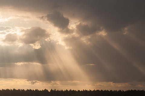 raios de luz, passagem, nuvens, Dom, leve, Raios, céu, arvores, floresta, luz solar, brilho, ensolarado, brilhante, natureza, verão, brilho do sol, nascer do sol, estourar, clarão, raio de Sol, feixe, por do sol, panorama, amarelo, temporada, pano de fundo, nuvem - céu, beleza na natureza, scenics - natureza, meio Ambiente, tranquilidade, ninguém, céu dramático, idílico, cloudscape, cena tranquila, tempestade, árvore, ao ar livre, 2K, CC0, domínio público, royalty free