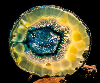 yellow, blue, gemstone, agate slice, close, light, biology, science, healthcare and medicine, close-up, no people, black background, cross section, animal wildlife, sea, animal themes, illness, single object, studio shot, animals in the wild, medical condition, animal, extreme close-up, magnification, indoors, marine, 2K, CC0, public domain, royalty free