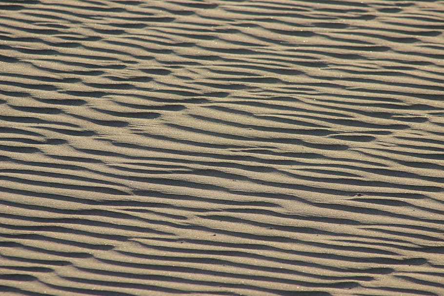 sorra, desert, onades, textura, sorra, desert, àrid, calenta, sorrenca, marró, naturalesa, àrab, sequera, estèril, calor, Sahara, marc complet, patró d'ones, fons, patró, terra, patró natural, vista d’angle alt, cap gent, tranquil·litat, paisatge, escenics - natura, platja, duna de sorra, dia, bellesa a la natura, escena tranquil·la, clima àrid, clima, a l'aire lliure, marea baixa, 5K