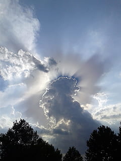 himmel, Sky, tordenvejr, blå, overskyet, dom, skyer, overskyet himmel, lys, sol, himlen, træ, sky - himmel, natur, ingen mennesker, silhuet, plante, lav vinkel visning, skønhed i naturen, ro, rolig scene, scenics - natur, dag, udendørs, hvirveldyr, dyr, vækst, dyre temaer, fugl, trætop, 2K, CC0, offentligt domæne, royaltyfrie