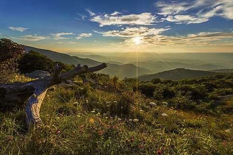 verde, campo d'erba, giorno, tramonto, paesaggio, panoramico, nuvole, cielo, trascura il legname, parco nazionale di shenandoah, Virginia, Stati Uniti d'America, natura, crepuscolo, sera, nebbia, colline, montagne, gamma, foschia, fiori selvatici, grandezza, scenics - natura, montagna, la tranquillità, bellezza nella natura, scena tranquilla, pianta, ambiente, raggio di sole, albero, terra, luce del sole, scena non urbana, nuvola - cielo, nessuno, crescita, idilliaco, all'aperto, picco di montagna, 1080P, CC0, dominio pubblico, privo di copyright