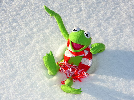 green, tree frog, plush, toy, snow, kermit, frog, fun, winter, cold, cold temperature, red, holiday, christmas, no people, celebration, representation, green color, nature, high angle view, creativity, food and drink, animal representation, indoors, food, close-up, 4K, CC0, public domain, royalty free