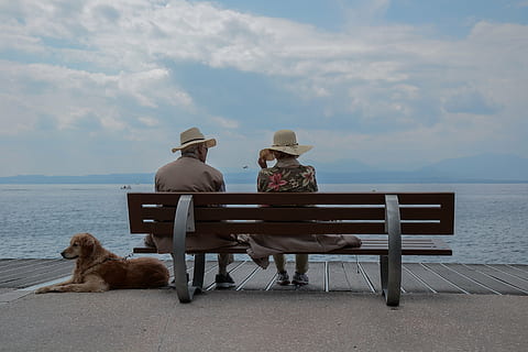 bench, boardwalk, clouds, dog, ocean, people, sea, seashore, sky, water, real people, seat, sitting, women, leisure activity, hat, rear view, nature, two people, adult, full length, relaxation, beauty in nature, beach, lifestyles, horizon over water, outdoors, couple - relationship, 4K, CC0, public domain, royalty free