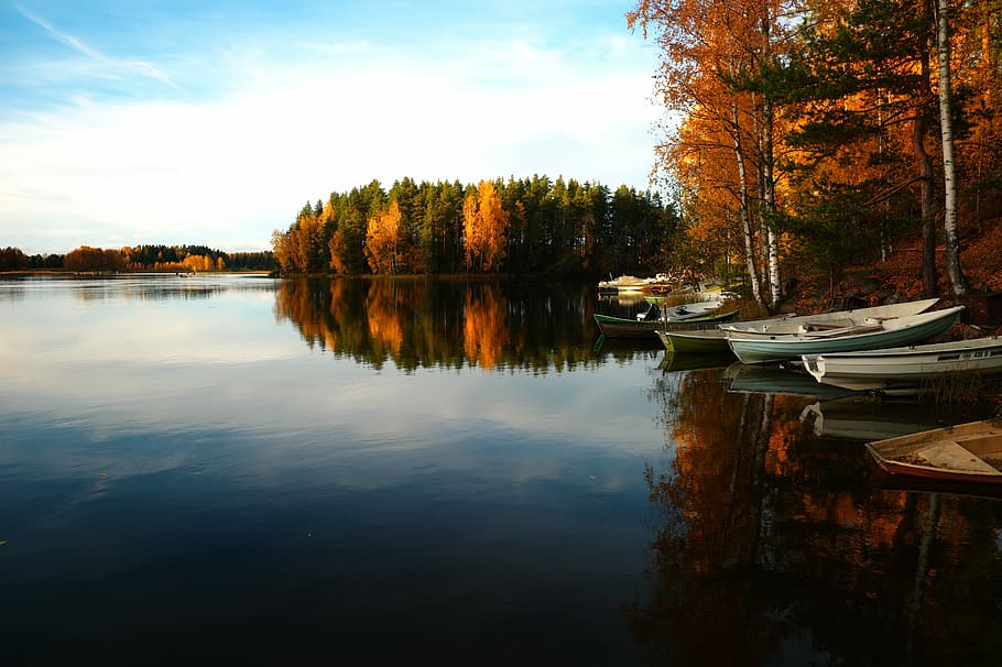fire, både, docket, jord, omgivet, grøn, blade træer, legeme, vand, gul, træer, sø, tapet, baggrunde, falde baggrunde, båd, efterår, berolige, fredfyldte, fredelig, træ, sejlsport, eftermiddag, roligt vand, falde leafe, afspejling, plante, skønhed i naturen, ro, rolig scene, scenics - natur, himmel, natur, havnefronten, ingen mennesker, lave om, sky - himmel, dag, idyllisk, vækst, udendørs, 5K