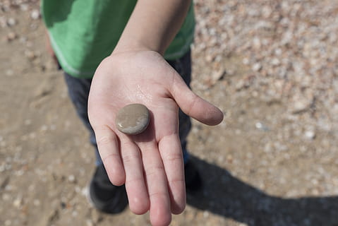 hav, sten-, hånd, barn, småsten, rund, flad, holde, våd, flodbred, menneskelig hånd, udendørs, natur, sten - objekt, rock-objekt, mennesker, bedrift, menneskelig kropsdel, en person, dag, solid, klippe, høj vinkel visning, fokus på forgrunden, rigtige mennesker, finansiere, livsstil, barndom, tæt på, midsection, 5K, CC0, offentligt domæne, royaltyfrie