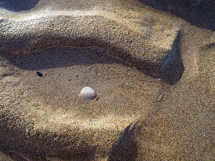 riflusso, mare, maree, conchiglia, spiaggia, acqua, sabbia, la maggior parte del faggio, Spiaggia di sabbia, terra, luce del sole, natura, vista dall'alto, giorno, nessuno, ombra, avvicinamento, guscio di animale, all'aperto, sport, Marrone, palla, la tranquillità, modello, solido, ciottolo, 4K, CC0, dominio pubblico, privo di copyright