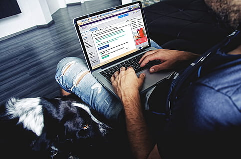 persona, utilizando, gris, ordenador portátil, tiempo de día, hombre, Facebook, computadora, negocio, tecnología, Internet, masculino, joven, gente, mecanografía, inalámbrico, chico, sentado, empresario, cuaderno, trabajo, gente real, tecnología inalámbrica, hombres, comunicación, conexión, un animal, animales domesticos, mascotas, nacional, una persona, mamífero, ropa casual, adulto, adentro, navegando en la red, 4K, CC0, dominio público, libre de derechos