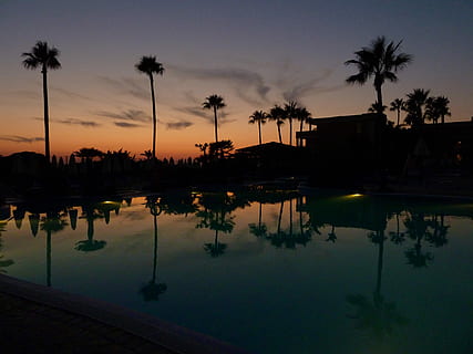 Bäume, Schwimmen, Schwimmbad, Boden Pool, Kokosnussbaum, Sonnenuntergang, Baum, Nacht-, Himmel, Palme, tropisches Klima, Reflexion, Wasser, Silhouette, Pflanze, Natur, die Architektur, Schönheit in der Natur, Szenen - Natur, keine Leute, See, Gebäudehülle, gebaute Struktur, wolke - himmel, Ruhe, draußen, Kokospalme, 4K, CC0, gemeinfrei, lizenzfrei