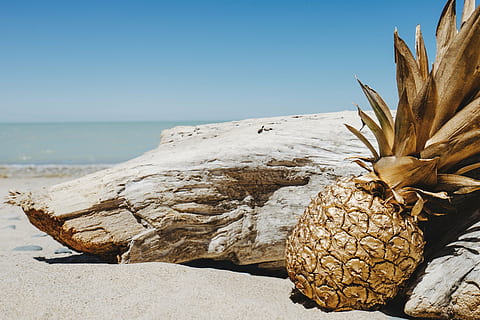pineapple beside driftwood, pineapple, dessert, appetizer, fruit, juice, crop, beach, ocean, sea, sand, waves, gold, paint, blue, sky, wood, nature, summer, food, tropical Climate, beauty in nature, clear sky, day, no people, land, tranquility, scenics - nature, tranquil scene, horizon, water, plant, horizon over water, close-up, solid, rock, sunlight, outdoors, 5K, CC0, public domain, royalty free