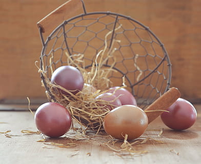 biologique, des œufs, à côté de, panier, Oeuf, œufs de Pâques, coloré, Couleur, Pâques, Douane, oeufs colorés, oeufs de pâques teints, œufs de poule, produit naturel, Fermer, aliments, bois - matériau, table, nid animal, Nourriture et boisson, nature morte, à l'intérieur, personne, se concentrer sur le premier plan, alimentation saine, œuf de Pâques, bien-être, récipient, fraîcheur, marron, fête, la nature, 2K, CC0, domaine public, libre de droits