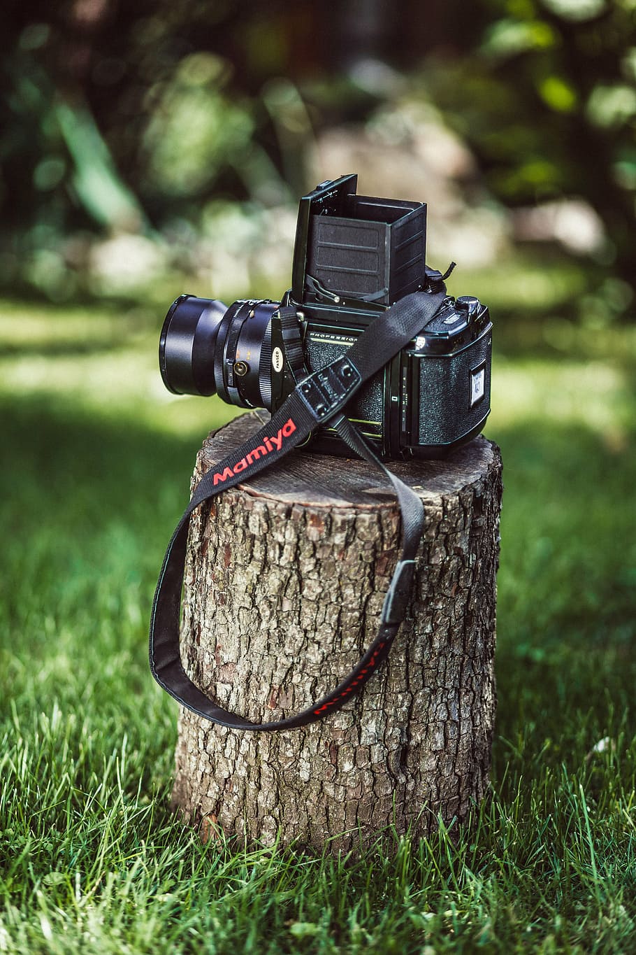 vintage, càmera, vell, retro, foto, càmera antiga, fotògraf, fotografia, càmera vintage, hipster, fusta, pel·lícula, càmera de cinema, mamiya, visor, lent, càmera - equip fotogràfic, lent - instrument òptic, equipament, a l'aire lliure, herba, centrar-se en primer pla, planta, camp, dia, primer pla, terra, cap gent, naturalesa, tecnologia, metall, llum solar, joguina, color verd, arbre, pila, 5K
