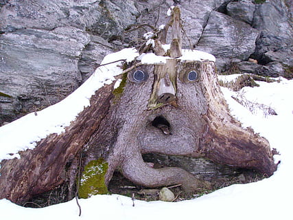 rod ansigt, baumstumpfm ansigt, træ, vinter, natur, ingen mennesker, dag, tæt på, sne, Kunst og håndværk, repræsentation, kreativitet, solid, bagagerum, lav vinkel visning, udendørs, træstamme, klippe, plante, kold temperatur, dyr, ro, dyr hoved, 2K, CC0, offentligt domæne, royaltyfrie
