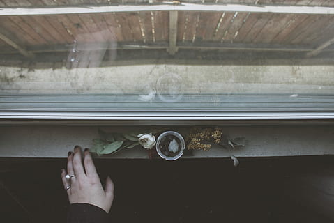person, foran, blomster, vindue, dagtimerne, hvid, Rose, ved siden af, drikkeglas, flad, lægge, fotografering, glas, hånd, klippeafsats, vindueskarmen, en person, menneskelig kropsdel, rigtige mennesker, menneskelig hånd, indendørs, bedrift, personlige perspektiv, livsstil, uigenkendelig person, voksen, glas - materiale, kropsdel, fritidsaktivitet, Kvinder, dag, direkte over, gennemsigtig, finger, 2K, CC0, offentligt domæne, royaltyfrie
