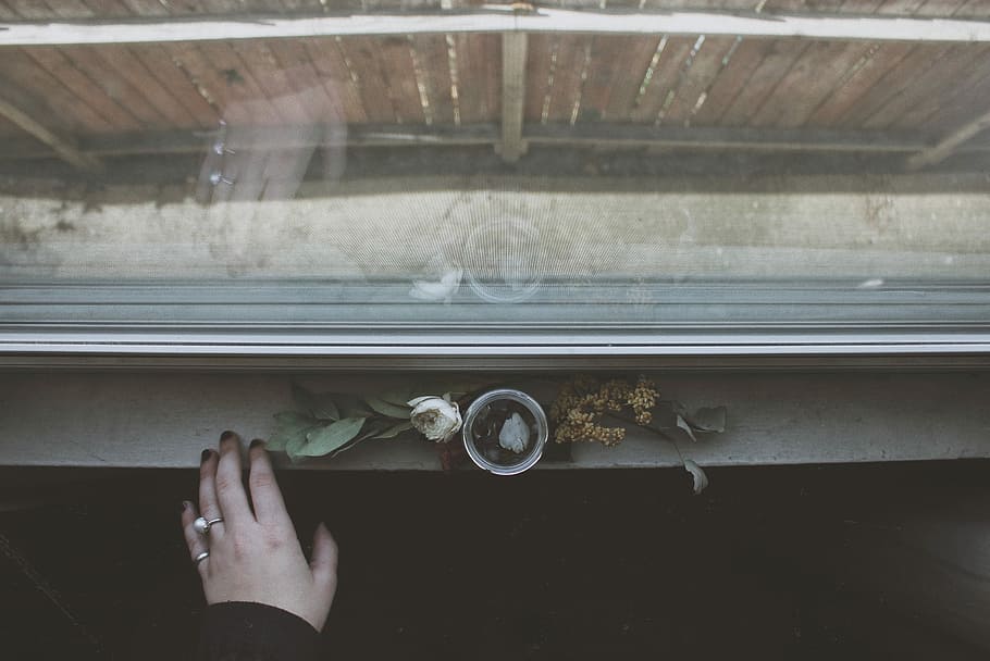 person, foran, blomster, vindue, dagtimerne, hvid, Rose, ved siden af, drikkeglas, flad, lægge, fotografering, glas, hånd, klippeafsats, vindueskarmen, en person, menneskelig kropsdel, rigtige mennesker, menneskelig hånd, indendørs, bedrift, personlige perspektiv, livsstil, uigenkendelig person, voksen, glas - materiale, kropsdel, fritidsaktivitet, Kvinder, dag, direkte over, gennemsigtig, finger, 2K
