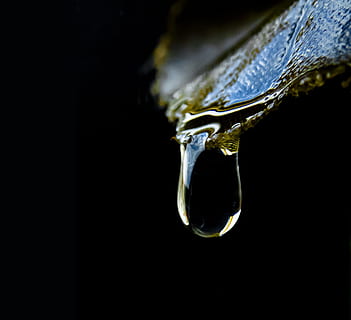 naturaleza, brillante, soltar, hoja, verde, natural, agua, hojas verdes, planta, macro, fondo negro, de cerca, nadie, adentro, foto de estudio, mojado, copia espacio, pureza, primer plano extremo, fugas, belleza en la naturaleza, riqueza, joyería, centrarse en primer plano, lujo, carámbano, derritiendo, en el borde de, 1080P, CC0, dominio público, libre de derechos
