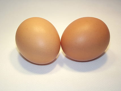 dos, marró, ous, blanc, superfície, petxines, Pasqua, pollastre, crua, saludable, ingredient, proteïna, closca d'ou, esmorzar, orgànic, nutritiu, dieta, fresc, rovell, bullit, aus de corral, ou, menjar, menjar i beguda, alimentació saludable, benestar, frescor, a l'interior, natura morta, primer pla, cap gent, tir de l'estudi, fons blanc, aliments crus, dos objectes, ous d’animals, fragilitat, vulnerabilitat, vista d’angle alt, taula, 1080P, CC0, domini públic, lliure de regalies