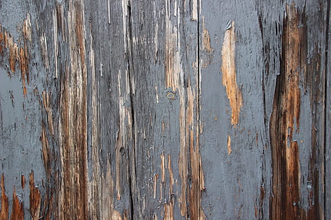 secco, grigio, dipingere, Marrone, di legno, sfondo, struttura, legna, modello, vecchio, marcire, parete, intemperie, legno - materiale, strutturato, fotogramma intero, sfondi, nessuno, avvicinamento, danneggiato, ruvido, tavola, giorno, arrugginito, declino, deterioramento, cattiva condizione, metallo, all'aperto, corri giù, venatura del legno, chiodo, 5K, CC0, dominio pubblico, privo di copyright