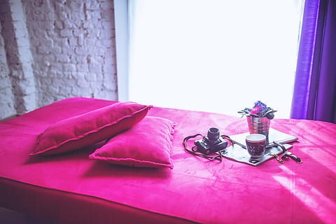 Două, dreptunghiular, roz, perne, lângă, negru, camera dslr, interior, proiecta, pod, apartament, aparat foto, canapea, pat, timp, timp de cafea, dimineaţă, camera de zi, dormitor, pernă, confortabil, în interior, decor, luxos, modern, nici o persoana, mobila, lampă electrică, eleganţă, acasă interior, masa, culoarea roz, textil, natură moartă, Violet, vedere în unghi mare, zi, reprezentare, jucărie, panglică - articol de cusut, perdea, îmbrăcăminte, recipient, reprezentare umană, panglică, 5K, CC0, domeniu public, fără drepturi de autor
