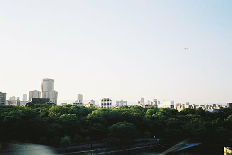 buildings, city, clear sky, forest, high-rises, lake vacation, nature, park, pond, sky, cityscape, urban Skyline, urban Scene, architecture, building exterior, built structure, building, tree, plant, office building exterior, no people, day, water, skyscraper, landscape, transportation, outdoors, 720P, CC0, public domain, royalty free