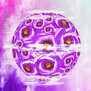 púrpura, blanco, las flores, azafrán, primavera, flor, naturaleza, gráfico, vistoso, diseño, planta, hermoso, color, floración, mundo, planeta, globo, astronomía, espacio, todos, atmósfera, de cerca, nadie, adentro, agua, comida y bebida, animal, comida, solo objeto, temas de animales, pez, color rosa, circulo, un animal, forma, frescura, modelo, marina, 1080P, CC0, dominio público, libre de derechos