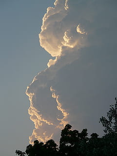 thundercloud, vreme, nor, furtună, redirecţiona, climatologie, meteorologie, periculos, amenințător, mare, puternic, imens, cumulonimbus, cumulus, cumuluswolke, cer, nici o persoana, copac, siluetă, vedere unghiulară joasă, nor - cer, frumusețe în natură, plantă, scenice - natura, liniște, natură, apus de soare, o scenă liniștită, în aer liber, idilic, creştere, scenă non-urbană, zi, vârful copacului, lumina soarelui, 2K, CC0, domeniu public, fără drepturi de autor