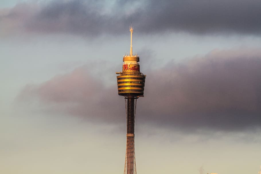 Brun, sort, rumnål, orange tårn foto, tårn, dagtimerne, himmel, bygning, milepæl, sydney tårn, kommunikationstårn, teknologi, blå, sky - himmel, ingen mennesker, belyst, arkitektur, udendørs, bygget struktur, bygning udvendig, natur, høj - høj, rejsemål, by, meddelelse, rejse, dag, Spir, skyskraber, 5K