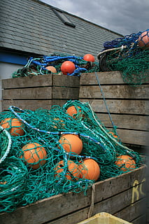 fisching, bots, bouts, harbour, commercial Fishing Net, fishing Net, buoy, day, fishing industry, fishing, rope, food, outdoors, no people, architecture, food and drink, egg, nature, close-up, built structure, multi colored, hanging, building exterior, building, 4K, CC0, public domain, royalty free