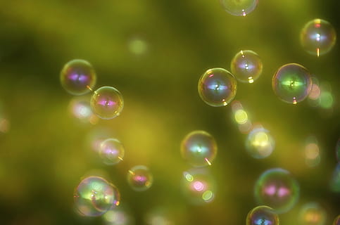 fotografía de burbujas de agua, mojado, agua, burbujas de jabón, flotador, vistoso, hacer pompas de jabon, agua jabonosa, reflejo, bolas, naturaleza, bokeh, ingrávido, soplo, brillar, transitorio, grande, fondo, verde, multi color, burbuja, nadie, color verde, vulnerabilidad, fragilidad, antecedentes, enfoque selectivo, de cerca, aire, jabón sud, esfera, fotograma completo, forma, brillante, transparente, reflexión, forma geometrica, belleza en la naturaleza, al aire libre, resumen, pureza, 1080P, CC0, dominio público, libre de derechos