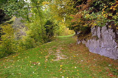 traseu, iarbă, copaci, excursie, toamnă, calea europeană, e5, Lessinia, Italia, plantă, copac, frumusețe în natură, pădure, teren, natură, creştere, liniște, scenice - natura, Culoarea verde, nici o persoana, o scenă liniștită, scenă non-urbană, zi, cărare, peisaj, mediu inconjurator, direcţie, calea de urmat, în aer liber, Schimbare, 5K, CC0, domeniu public, fără drepturi de autor