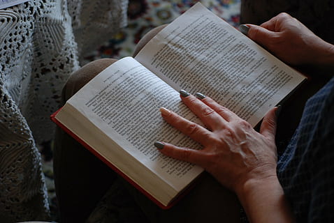 książka, Edukacja, wiedza, umiejętności, biblioteka, czytać, książki w bibliotece, czytanie, wynajem, publikacja, czynność, ludzka ręka, papier, dłoń, dorosły, jedna osoba, duchowość, część ludzkiego ciała, religia, tekst, wiara, spędzania wolnego czasu, trzymać, wewnątrz, literatura, 4K, CC0, domena publiczna, darmowe zdjęcia