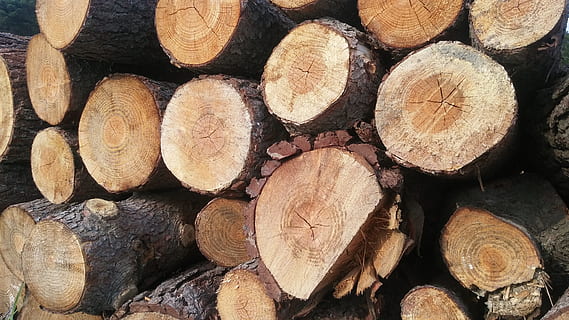 copac, pădure, lingou, cherestea, Buturuga, lemn, industria cherestelei, lemne de foc, cadru complet, grămadă, fundaluri, lemn - material, grup mare de obiecte, combustibil și generarea de energie electrică, despădurire, Woodpile, abundenţă, combustibil fosil, probleme de mediu, nici o persoana, morman, în aer liber, 4K, CC0, domeniu public, fără drepturi de autor