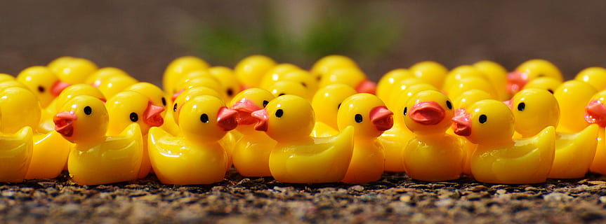 postava z mini plastu, Kachny, mini, plastický, postava, čísla, skupina, roztomilý, sladký, mnoho, žlutá, v řadě, detail, selektivní zaměření, nikdo, svěžest, hračka, zastoupení, velká skupina objektů, gumová kachnička, vícebarevné, skupina objektů, výběr, variace, objednat, zářivé barvy, malý, 5K, CC0, veřejná doména, bez autorských práv