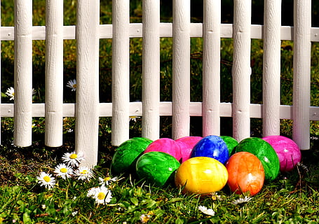 uovo, colorato, uova di Pasqua, prato, recinto, margherita, Pasqua, uova sode, buona Pasqua, uova colorate, uova di Pasqua tinte, colore, decorazioni pasquali, pianta, erba, pianta fiorita, natura, fiore, nessuno, freschezza, barriera, giorno, multicolore, confine, crescita, colore verde, campo, cibo, all'aperto, steccato, giardinaggio, 4K, CC0, dominio pubblico, privo di copyright