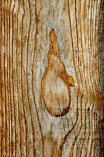 Wood, Timber, Material, Sample, Grain, structure, nature, wood - material, textured, backgrounds, wood grain, close-up, pattern, full frame, tree, natural pattern, no people, tree trunk, brown, rough, trunk, plant, day, knotted wood, bark, tree ring, 4K, CC0, public domain, royalty free