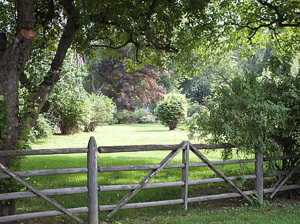 grå, træ-, hegn, grøn, blad træ, grønt blad, træ, split rail, gård, gammel, rustik, Mark, landskab, træer, skinner, hegn skinner, Port, fenceposts, eng, dag, natur, udendørs, ingen mennesker, beskyttelse, plante, vækst, barriere, grænse, jord, ro, grøn farve, skønhed i naturen, sikkerhed, rolig scene, rækværk, scenics - natur, 4K, CC0, offentligt domæne, royaltyfrie