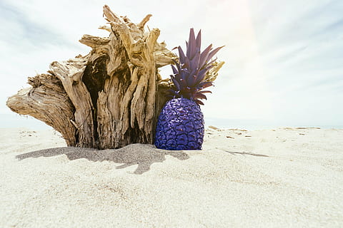 blue, pineapple, beside, driftwood, dessert, appetizer, fruit, juice, crop, beach, ocean, sea, sand, clouds, sky, trees, nature, purple, no people, flower, day, beauty in nature, outdoors, close-up, land, plant, sunlight, tranquility, flowering plant, tree, scenics - nature, food and drink, freshness, 5K, CC0, public domain, royalty free